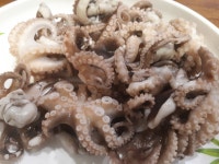 봄 쭈꾸미....보약인가 마약인가... - 뽐뿌:자유게시판 봄 쭈꾸미....보약인가 마약인가...