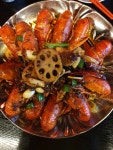 뽐뿌:자유갤러리 - 마라롱샤~ 마라롱샤~