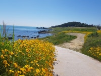 산에는 못가고 기장에서 용궁사(사진7장) - 뽐뿌:등산포럼 산에는 못가고 기장에서 용궁사(사진7장)