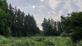 제주도에서의 휴가 (사진 많음) - 뽐뿌:자유갤러리 제주도에서의 휴가 (사진 많음)