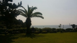 제주도 시크릿가든 - 뽐뿌:자유갤러리 제주도 시크릿가든