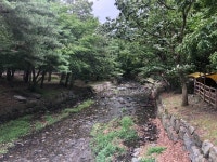 보령 성주산자연휴양림이에요! - 뽐뿌:캠핑포럼 보령 성주산자연휴양림이에요!