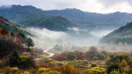 인제 - 뽐뿌:바탕화면갤러리 인제
