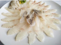 인상 깊었던 횟집 후기 두번째 - 뽐뿌:자유게시판 인상 깊었던 횟집 후기 두번째