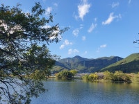 밀양 위양지2 - 뽐뿌:자유갤러리 밀양 위양지2