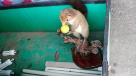 뽐뿌:자유게시판 - 쓰레기 분리수거장 갔다가 개 식겁 했네요..jpg 쓰레기 분리수거장 갔다가 개 식겁 했네요..jpg