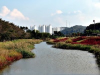 시흥 갯골생태공원 - 뽐뿌:자유갤러리 시흥 갯골생태공원