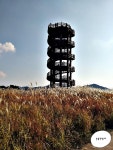시흥 갯골생태공원 - 뽐뿌:자유갤러리 시흥 갯골생태공원