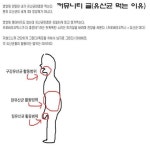 미세먼지 꿀팁 - 뽐뿌:자유게시판 미세먼지 꿀팁