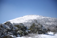 2월 10일 한라산 성판악~관음사 산행 후기 - 뽐뿌:등산포럼 2월 10일 한라산 성판악~관음사 산행 후기