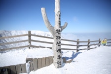 2월 10일 한라산 성판악~관음사 산행 후기 - 뽐뿌:등산포럼 2월 10일 한라산 성판악~관음사 산행 후기