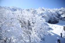 2월 10일 한라산 성판악~관음사 산행 후기 - 뽐뿌:등산포럼 2월 10일 한라산 성판악~관음사 산행 후기