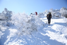 2월 10일 한라산 성판악~관음사 산행 후기 - 뽐뿌:등산포럼 2월 10일 한라산 성판악~관음사 산행 후기