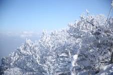 2월 10일 한라산 성판악~관음사 산행 후기 - 뽐뿌:등산포럼 2월 10일 한라산 성판악~관음사 산행 후기