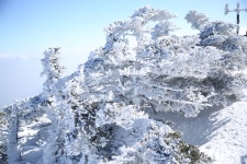2월 10일 한라산 성판악~관음사 산행 후기 - 뽐뿌:등산포럼 2월 10일 한라산 성판악~관음사 산행 후기