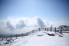 2월 10일 한라산 성판악~관음사 산행 후기 - 뽐뿌:등산포럼 2월 10일 한라산 성판악~관음사 산행 후기