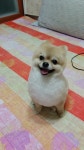 우리콩이~곰돌이컷하구 찍은 예전사진 - 뽐뿌:자유갤러리 우리콩이~곰돌이컷하구 찍은 예전사진