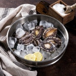 카카오스토어 톡딜] 완도 라면용 삼계탕용 꼬마전복 1kg(50~60미)... 카카오스토어 톡딜] 완도 라면용 삼계탕용 꼬마전복 1kg(50~60미)