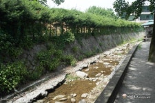 쑥캐러 갔다가 2천만원 날린 외가집. - 뽐뿌:자유게시판 쑥캐러 갔다가 2천만원 날린 외가집.