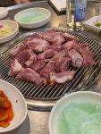 제주도 왔으면 회 vs 흑돼지 - 뽐뿌:맛집포럼 제주도 왔으면 회 vs 흑돼지