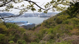 다시 걷는 갈맷길 (4월 15일, 갈맷길 4코스 2구간, 사진 77장) - 뽐뿌:등산포럼 다시 걷는 갈맷길 (4월 15일, 갈맷길 4코스 2구간, 사진 77장)