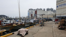 다시 걷는 갈맷길 (4월 15일, 갈맷길 4코스 2구간, 사진 77장) - 뽐뿌:등산포럼 다시 걷는 갈맷길 (4월 15일, 갈맷길 4코스 2구간, 사진 77장)