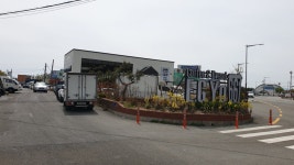 다시 걷는 갈맷길 (4월 15일, 갈맷길 4코스 2구간, 사진 77장) - 뽐뿌:등산포럼 다시 걷는 갈맷길 (4월 15일, 갈맷길 4코스 2구간, 사진 77장)