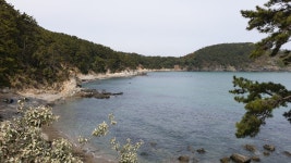 다시 걷는 갈맷길 (4월 15일, 갈맷길 4코스 2구간, 사진 77장) - 뽐뿌:등산포럼 다시 걷는 갈맷길 (4월 15일, 갈맷길 4코스 2구간, 사진 77장)