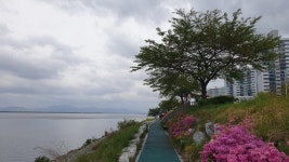 다시 걷는 갈맷길 (4월 19일, 갈맷길 6코스 1구간, 사진 74장) - 뽐뿌:등산포럼 다시 걷는 갈맷길 (4월 19일, 갈맷길 6코스 1구간, 사진 74장)