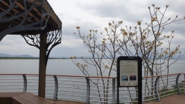 다시 걷는 갈맷길 (4월 19일, 갈맷길 6코스 1구간, 사진 74장) - 뽐뿌:등산포럼 다시 걷는 갈맷길 (4월 19일, 갈맷길 6코스 1구간, 사진 74장)