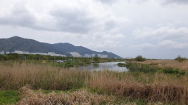 다시 걷는 갈맷길 (4월 19일, 갈맷길 6코스 1구간, 사진 74장) - 뽐뿌:등산포럼 다시 걷는 갈맷길 (4월 19일, 갈맷길 6코스 1구간, 사진 74장)