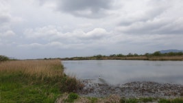 다시 걷는 갈맷길 (4월 19일, 갈맷길 6코스 1구간, 사진 74장) - 뽐뿌:등산포럼 다시 걷는 갈맷길 (4월 19일, 갈맷길 6코스 1구간, 사진 74장)