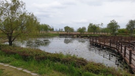 다시 걷는 갈맷길 (4월 19일, 갈맷길 6코스 1구간, 사진 74장) - 뽐뿌:등산포럼 다시 걷는 갈맷길 (4월 19일, 갈맷길 6코스 1구간, 사진 74장)