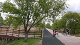 다시 걷는 갈맷길 (4월 19일, 갈맷길 6코스 1구간, 사진 74장) - 뽐뿌:등산포럼 다시 걷는 갈맷길 (4월 19일, 갈맷길 6코스 1구간, 사진 74장)