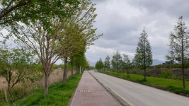 다시 걷는 갈맷길 (4월 19일, 갈맷길 6코스 1구간, 사진 74장) - 뽐뿌:등산포럼 다시 걷는 갈맷길 (4월 19일, 갈맷길 6코스 1구간, 사진 74장)