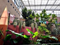 안산 유니스의 정원(Feat. 반월호수) - 뽐뿌:자유갤러리 안산 유니스의 정원(Feat. 반월호수)