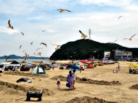 당진 도비도항과 왜목마을(Feat. 아산 공세리성당) - 뽐뿌:자유갤러리 당진 도비도항과 왜목마을(Feat. 아산 공세리성당)