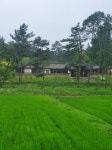 야근하고 아침 퇴근길에 한컷! - 뽐뿌:직장인포럼 야근하고 아침 퇴근길에 한컷!