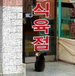 대기냥 - 뽐뿌:동식물포럼 대기냥