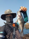 손맛 입맛 즐거운 하루였네요 - 뽐뿌:낚시포럼 손맛 입맛 즐거운 하루였네요