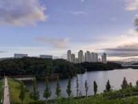 산책 - 뽐뿌:자유갤러리 산책