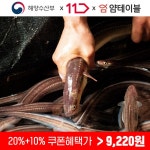[11번가] 대한민국 찐 수산대전 / 통영 자연산 바다장어 / 쇼킹딜가 12,800원~ 최종혜택가 9,220원! / 통영바다에서 식탁까지! 통영 어민 살리기... 