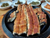 대박 민물장어 - 뽐뿌:자유갤러리 대박 민물장어
