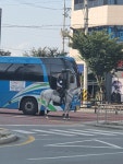 횡단보도앞 백마.jpg - 뽐뿌:자유게시판 횡단보도앞 백마.jpg