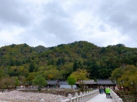휴가가 끝나가네요...... - 뽐뿌:자유게시판 휴가가 끝나가네요......