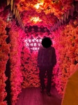 이거 확실히문제있는거죠? - 뽐뿌:아이폰포럼 이거 확실히문제있는거죠?