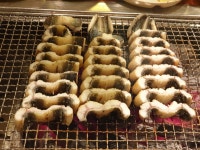 줄세운 장어 - 뽐뿌:자유갤러리 줄세운 장어