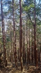 실시간 산행중 ~ 부산 백양산 바람고개~진행중 - 뽐뿌:등산포럼 실시간 산행중 ~ 부산 백양산 바람고개~진행중