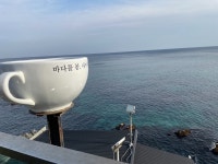 영덕 카페 봄 - 뽐뿌:여행포럼 영덕 카페 봄
