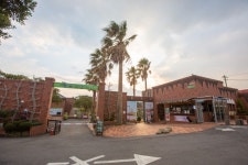 허브 농장 - 뽐뿌:자유갤러리 허브 농장